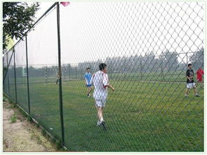 定制足球場(chǎng)圍網(wǎng)隔離網(wǎng)私人定制種類齊全