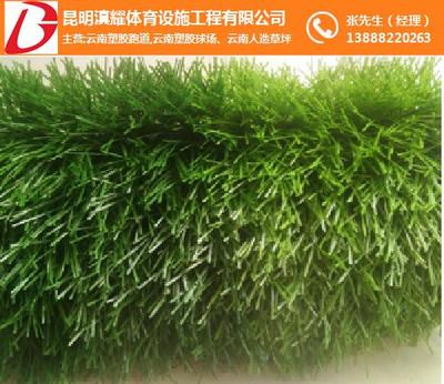 人造草坪廠商-滇耀體育(在線咨詢)-昆明人造草坪