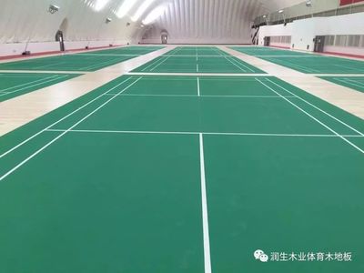 羽毛球民間高手齊聚奧林匹克森林公園氣膜館