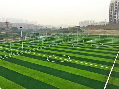 天津世紀(jì)宏達(dá) 人造草坪 人造草坪施工高清圖片 高清大圖