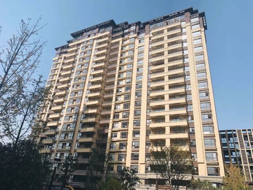 南京精裝現(xiàn)房交付盛況，業(yè)主激動(dòng)難抑，打地鋪共慶新居