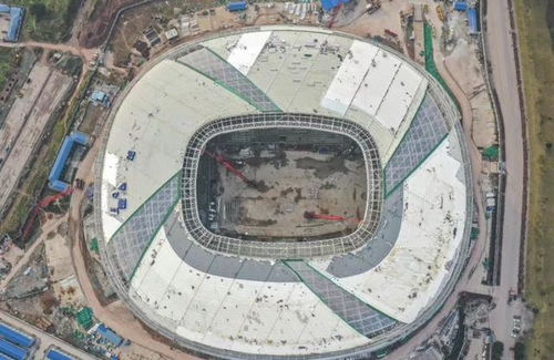 一龍一鳳構(gòu)筑重慶發(fā)展新格局 體育場(chǎng)地鋪裝的創(chuàng)新實(shí)踐