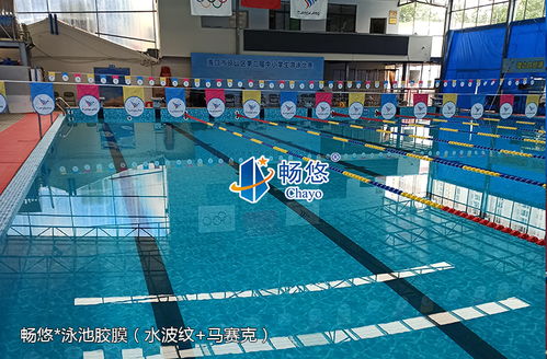 PVC泳池膠膜與防水裝飾膠膜地板 功能與應用場景解析