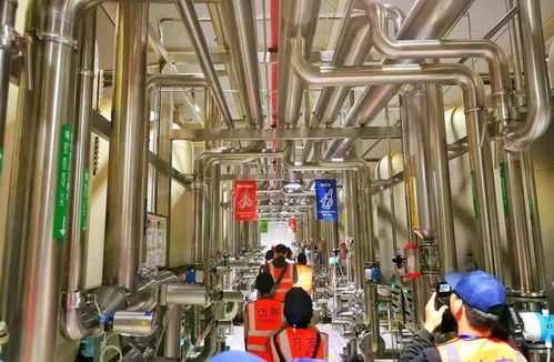 百威雪津 世界級智慧低碳工廠，黑科技護航啤酒誕生之旅與接待業(yè)務